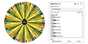 State Picker Wheel