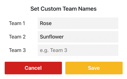 Set Team Names Modal