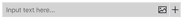 Insert text or image input